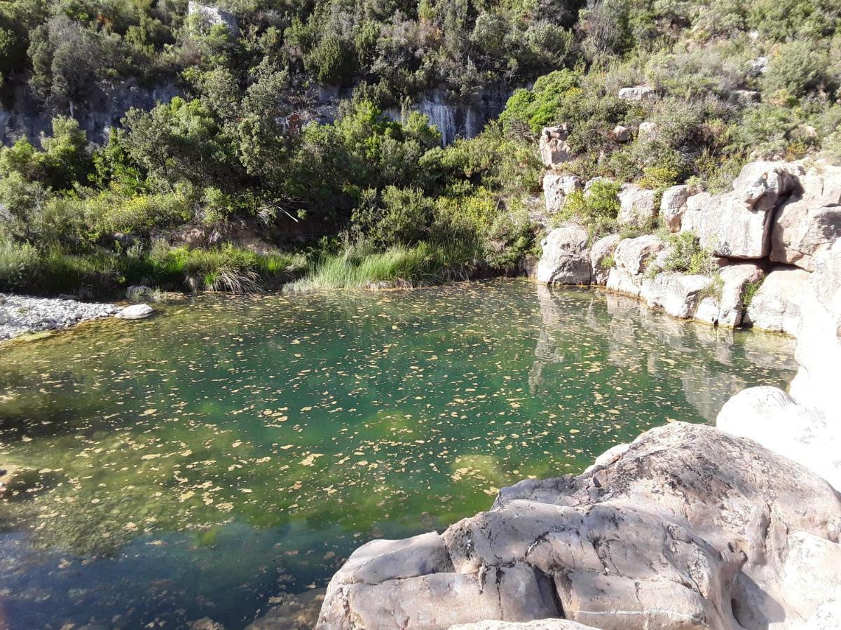 מלון Fabrezan Les Terres Basses מראה חיצוני תמונה